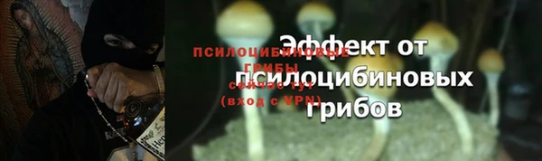 a pvp Верея