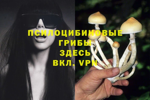 a pvp Верея