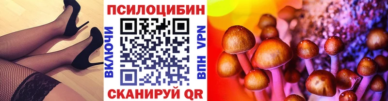 Купить где  Новодвинск  Галлюциногенные грибы мицелий 